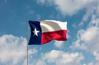 Texas flag
